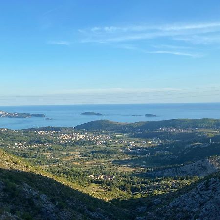 Ivanica Sveto المظهر الخارجي الصورة