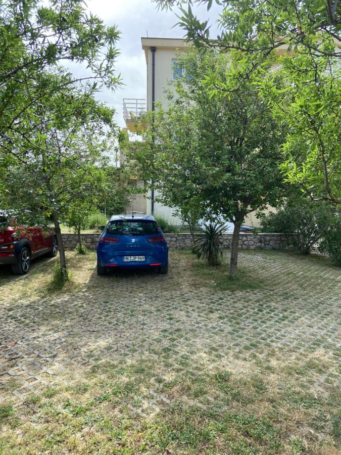 Ivanica Sveto المظهر الخارجي الصورة