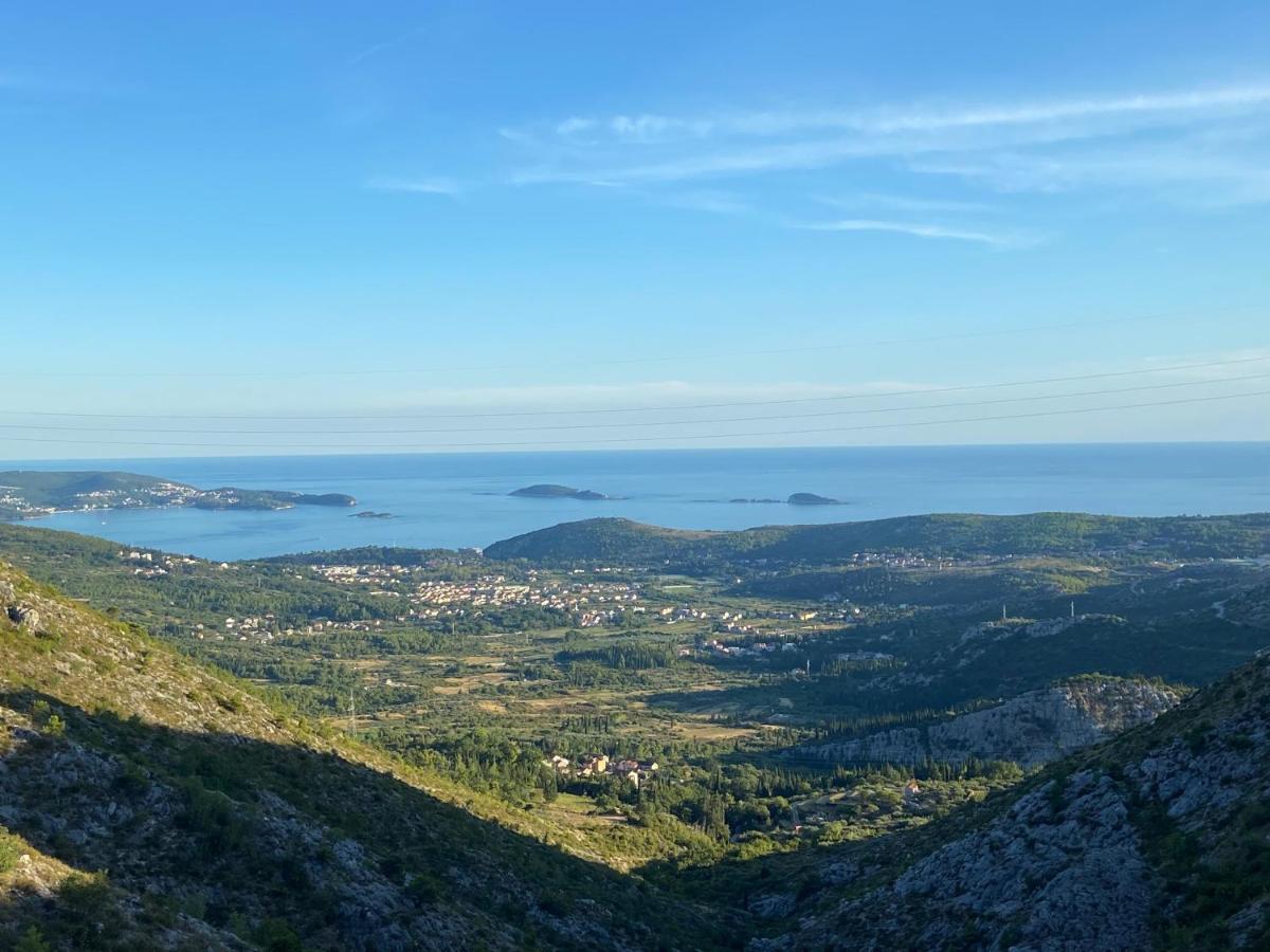 Ivanica Sveto المظهر الخارجي الصورة